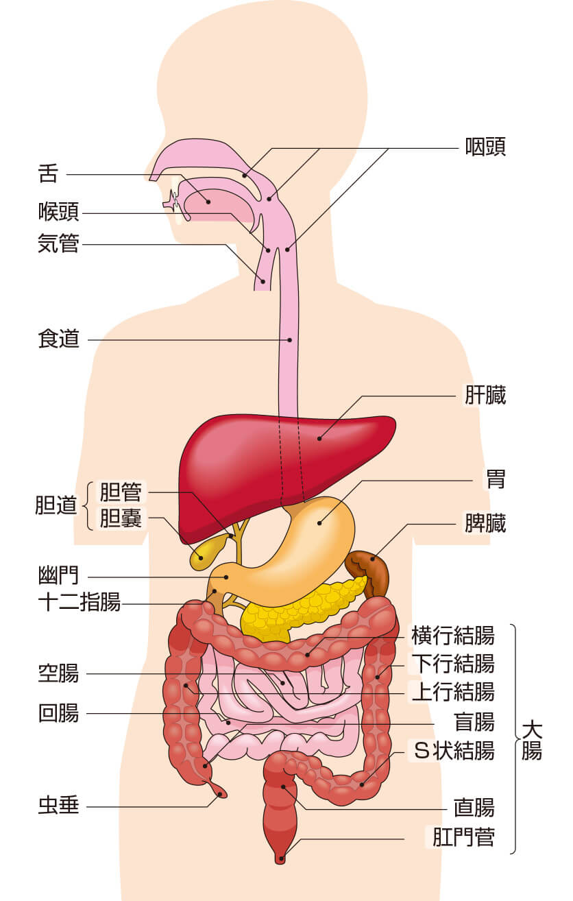 対象疾患